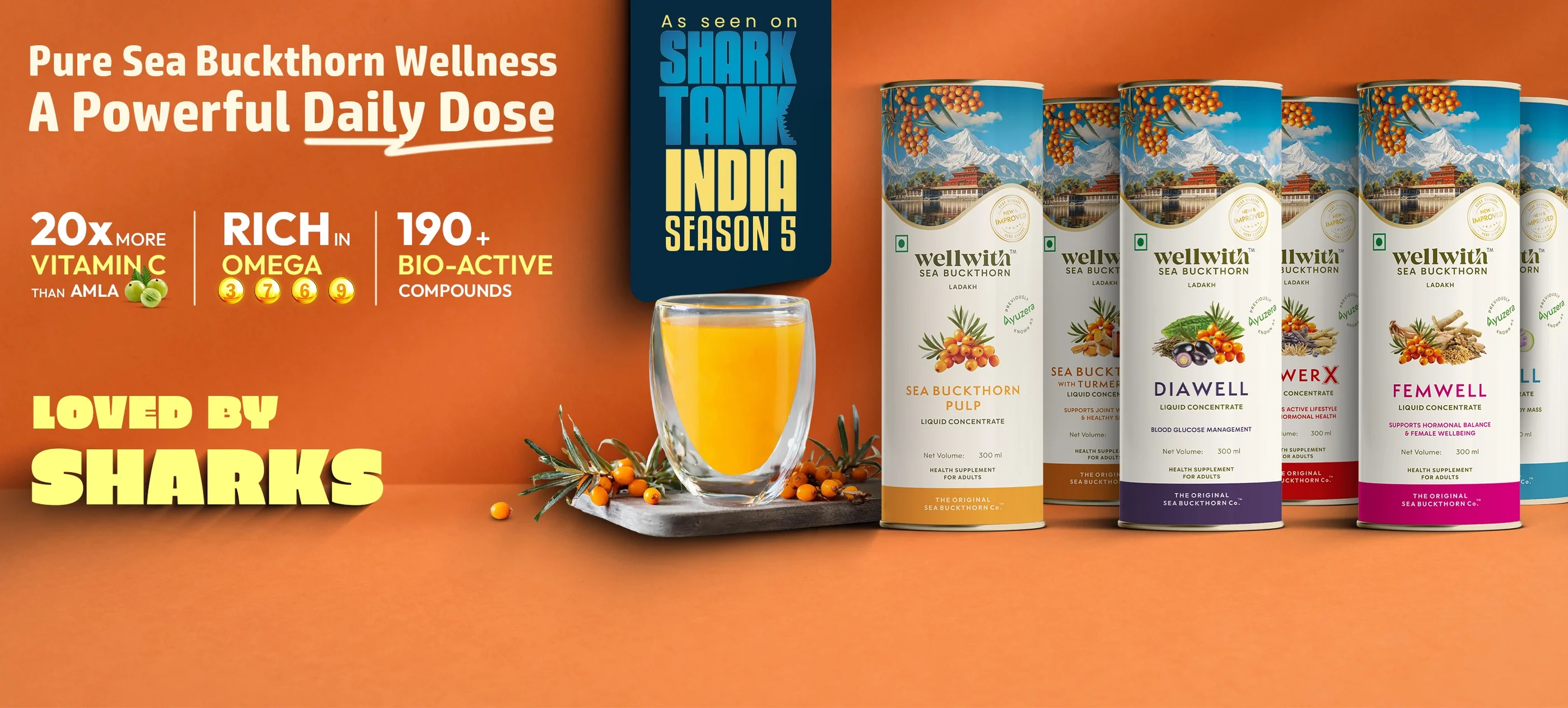 Ladakh’s Golden Secret to Wellness